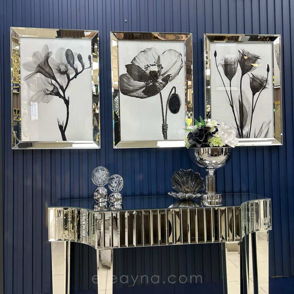 SİYAH ÇİÇEK-3'LÜ GÜMÜŞ AYNA TABLO SETİ 50X70
